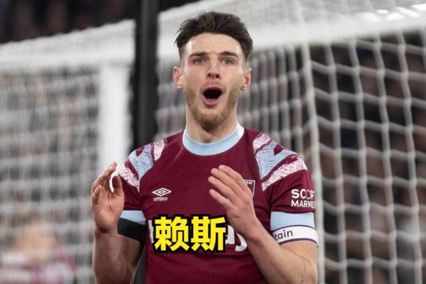 賴斯屬于什么是類型的后腰？